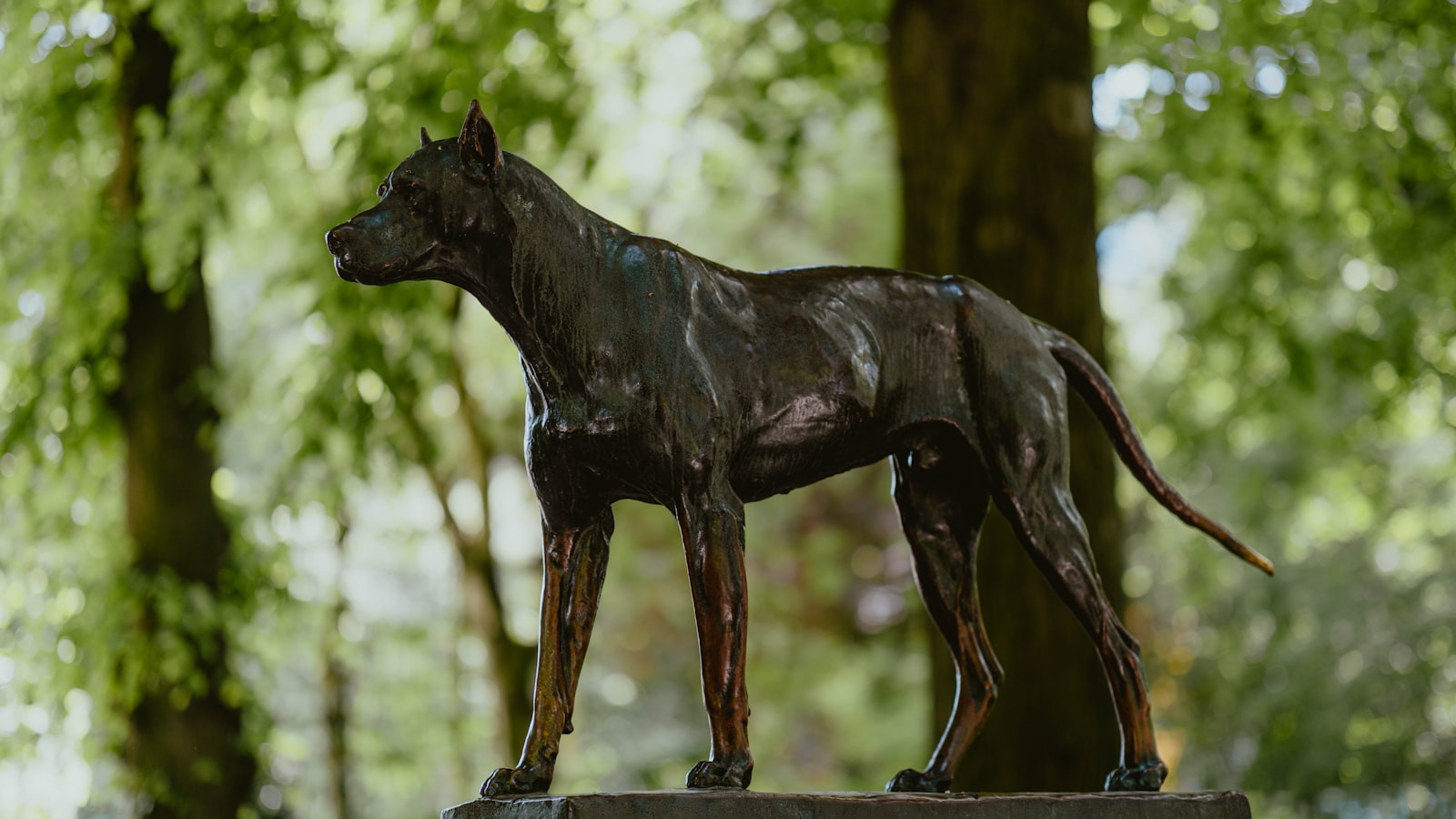 Bronces de Animales: Vida y Movimiento en Metal