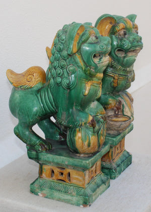 Pareja de Leones Foo en Cerámica Sancai
