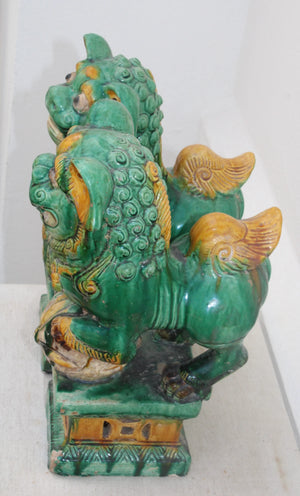 Pareja de Leones Foo en Cerámica Sancai